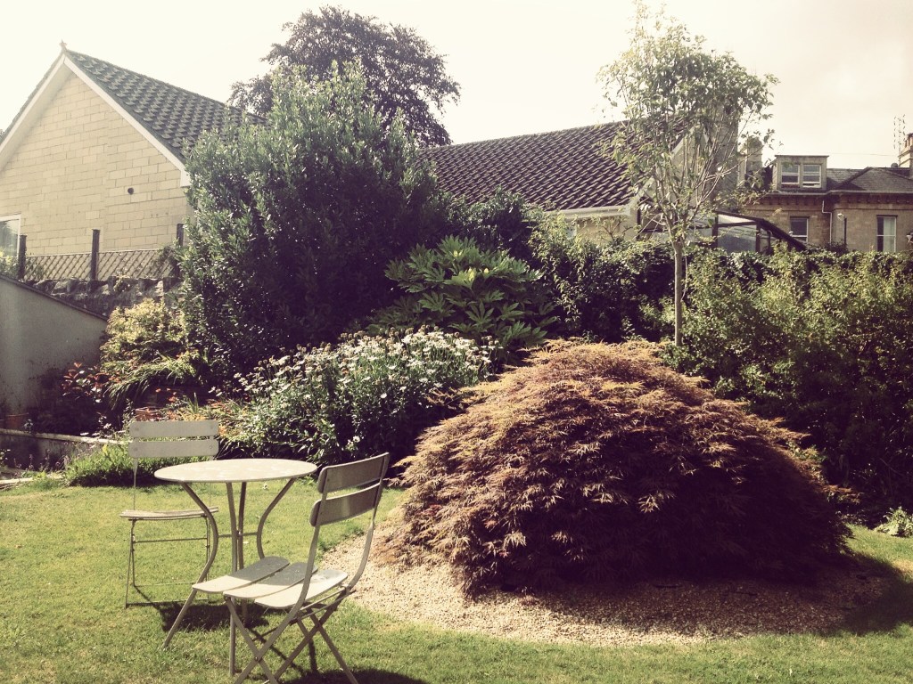 delicate backyard garden