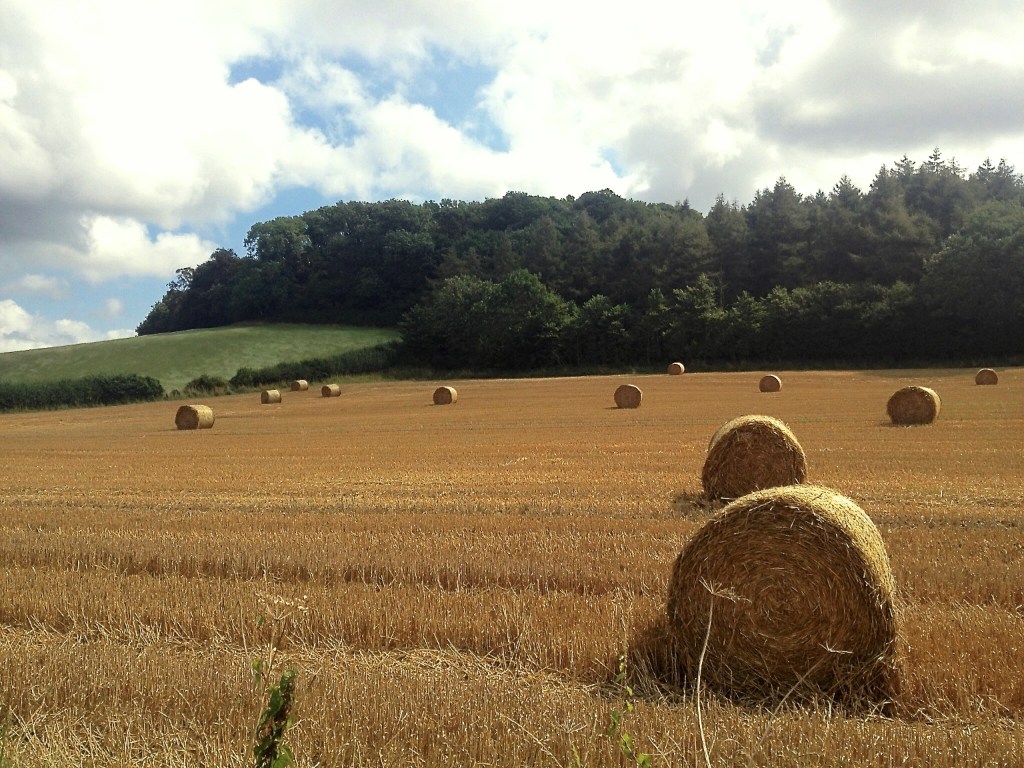 hay stack beside the road