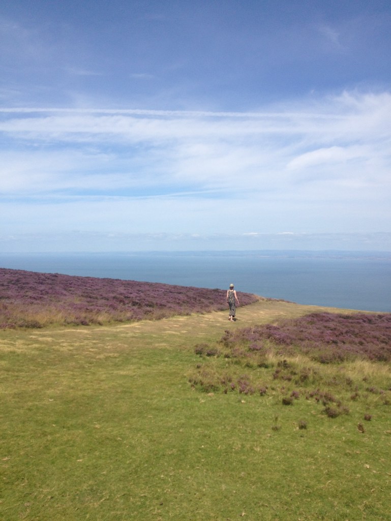 lavender land and the ocean